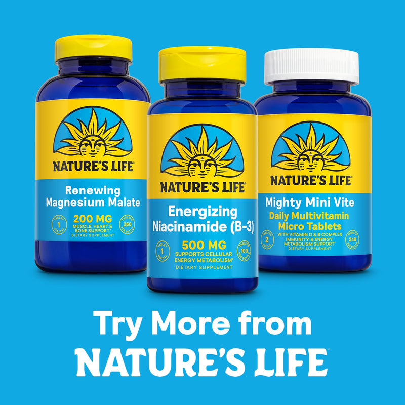 Nature's Life Energizing Niacinamide 500mg - No Flush Vitamin B 3 Niacin Supplement - Nerve Function, Metabolism and Healthy Energy Support - 60-Day Guarantee, Lab Verified, 100 Servings, 100 Tablets | No Flush Vitamin B3 Niacin Supplement, Nerve Funct...