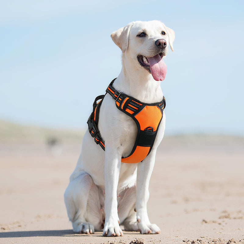 Eagloo Dog Harness for Large Dogs, No Pull Service Vest with Reflective Strips and Control Handle, Adjustable and Comfortable for Easy Walking, No Choke Pet Harness with 2 Metal Rings, Orange, L - BeesActive Australia