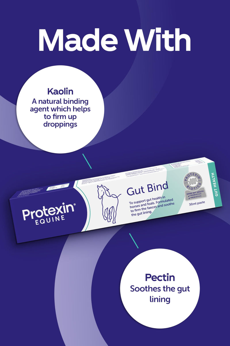 Protexin Equine Gut Bind, 30ml – Advanced Digestive Support for Horses – Promotes Healthy Gut Flora, Fibre Digestion, and Nutrient Absorption Regular