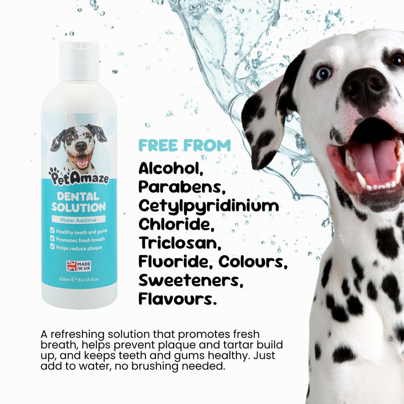 Dental Solution Water Additive for Dogs, Freshens Breath, Reduces Plaque & Tartar, Alcohol-Free Natural Formula, Easy Daily Oral Care, Made in the UK - 250ml
