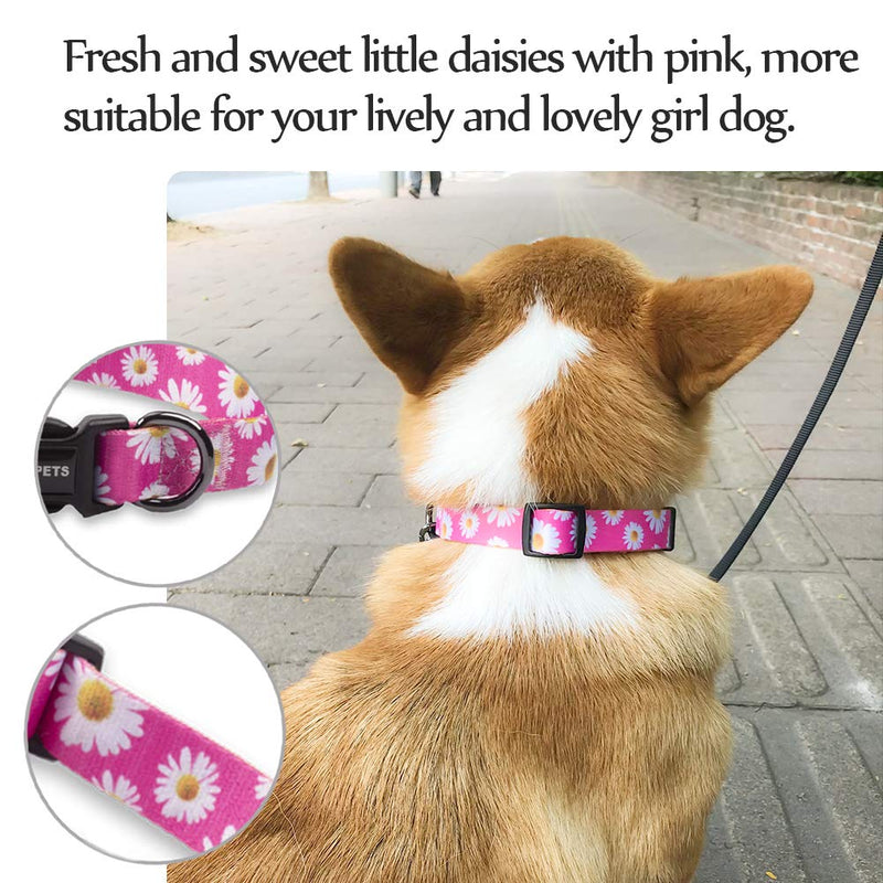 QQPETS Adjustable Soft Dog Collar: Print Flower Pink Multicolor Cute Patterns for XS Small Medium Large Pet Girl Boy Puppy Walking Running Training (S, Small Daisies) S - BeesActive Australia