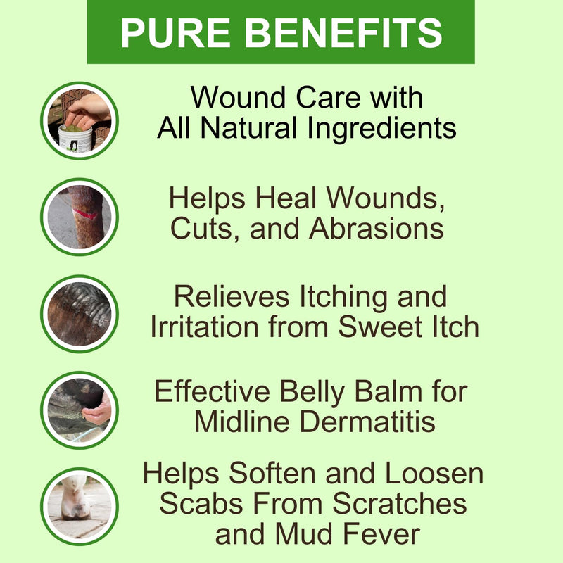 Wound Care Ointment for Horses and Dogs - Pure Sole Soothing Balm - Animal Wound Care for Cuts, Sores and Sweet Itch with All Natural Ingredients - 8 oz - BeesActive Australia