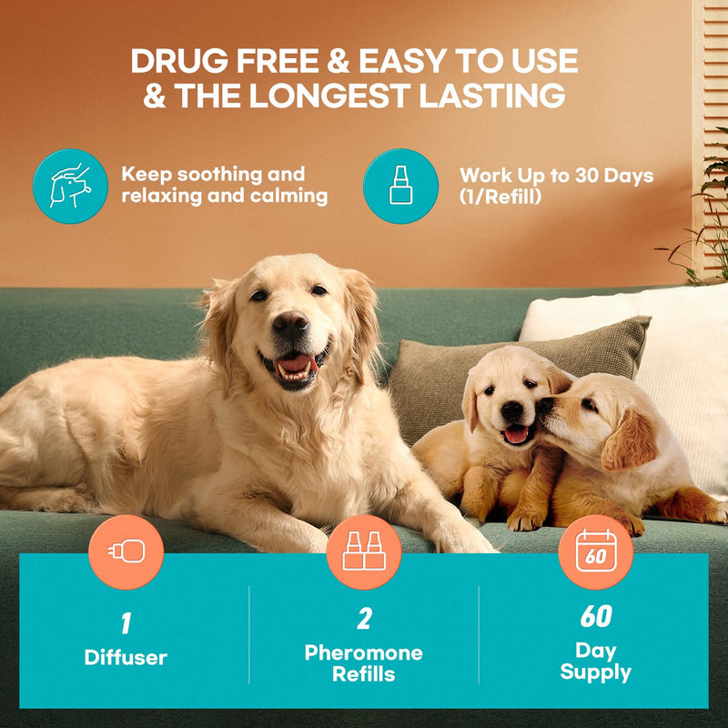 Calming atomizer for dog stress: Pheromone atomizer for dogs against anxiety - Comfort Dog Calm Pheromone Starter for home - lasts for 60 days BlueB - BeesActive Australia