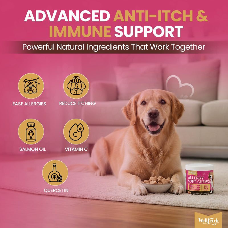 Dog Allergy and anti itch for dogs Soft Chews with Salmon oil, Colostrum & Turmeric for Itching, Skin Health, Anti Itch Natural Grain Free Treats, 120 Chews by wellfetch- Salmon Flavour 1