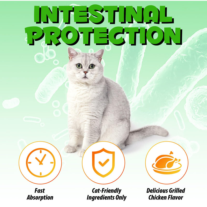 XAYGHE Constipation Treatment, Constipation for Cats, Laxative for Cats, Laxative with 6 Probiotic Supplements, Prevents Stool Buildup, Promotes Cat Intestinal Health, 60ml - BeesActive Australia
