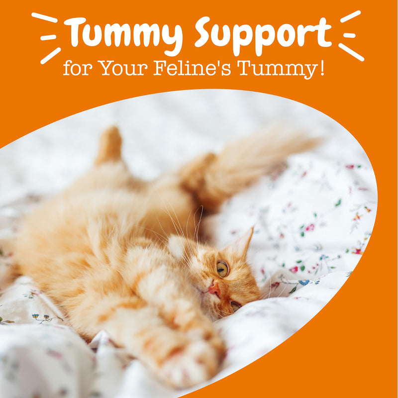 Zesty Paws Probiotic Powder for Cats - Meal Topper for Digestive Health & Immune Support - Premium DE111 Probiotics for Healthy Feline Gut Flora - Inulin Fiber & Yeast Extract - Pumpkin Flavor - 30 Ct - PawsPlanet Australia