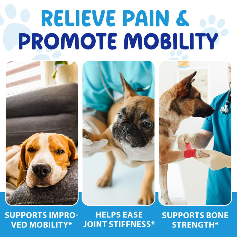 Hip & Joint Supplement for Dogs - 100% Natural Pain Relief & Mobility Support, Bacon Flavour, for Adult & Senior Dogs, 60ml