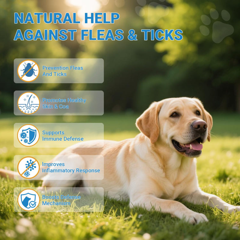 Flea and Tick Prevention for Dogs, 200 Soft Chews Natural Dog Flea and Tick Chewables Oral Flea Supplement for Dogs, Puppy Flea Support - All Breeds & Ages - Chicken Flavor