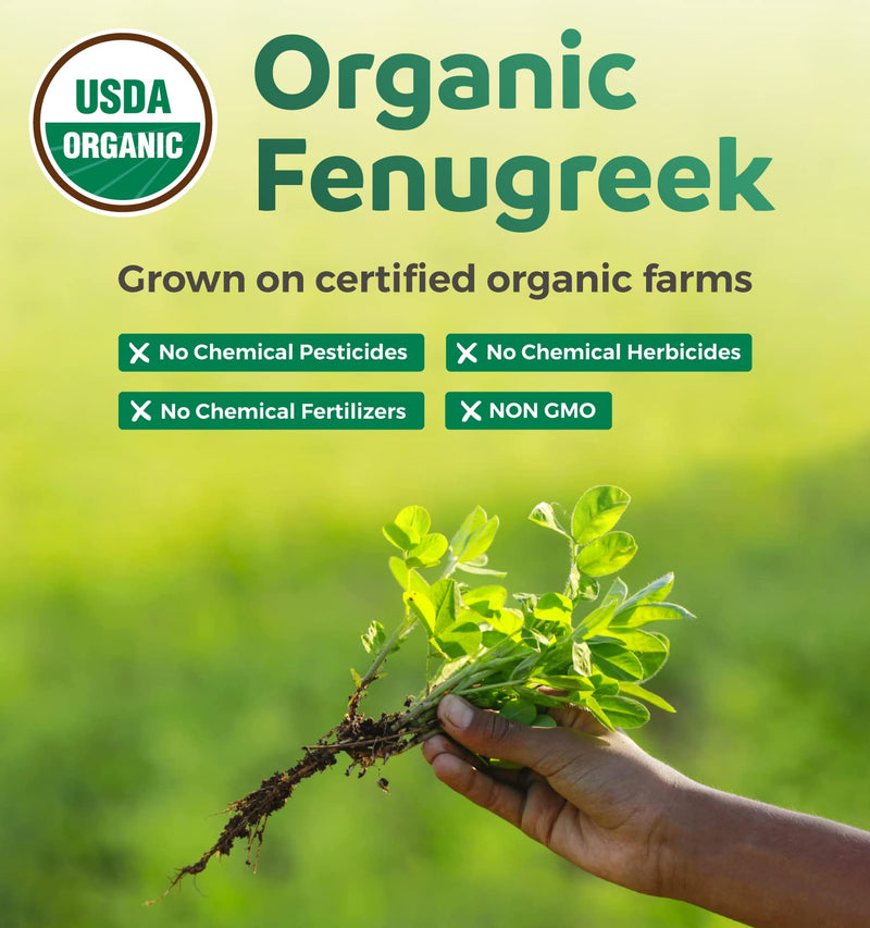 USDA Organic Fenugreek Capsules for Women - Effective Lactation Supplement for Increased Breast Milk Supply - Herbal Breastfeeding Support for Mothers - Gluten Free - 60 Vegan Capsules (No Pills) | Gentle Breast Milk Supply Booster for Mothers - Fenugr...