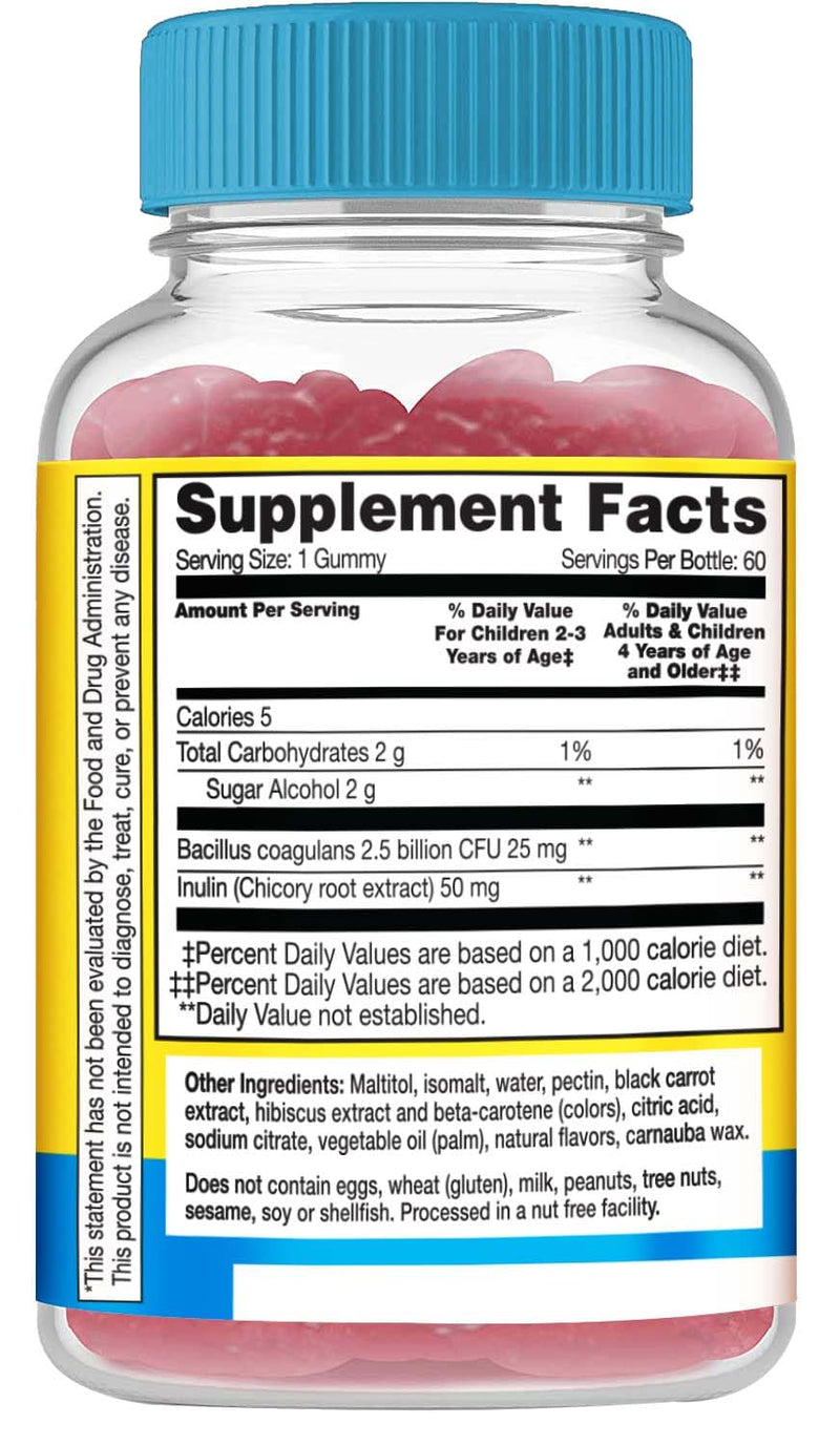 WellYeah Kids Probiotic Gummies with Prebiotic Fiber Sugar Free - Probiotics Kids for Digestive Health