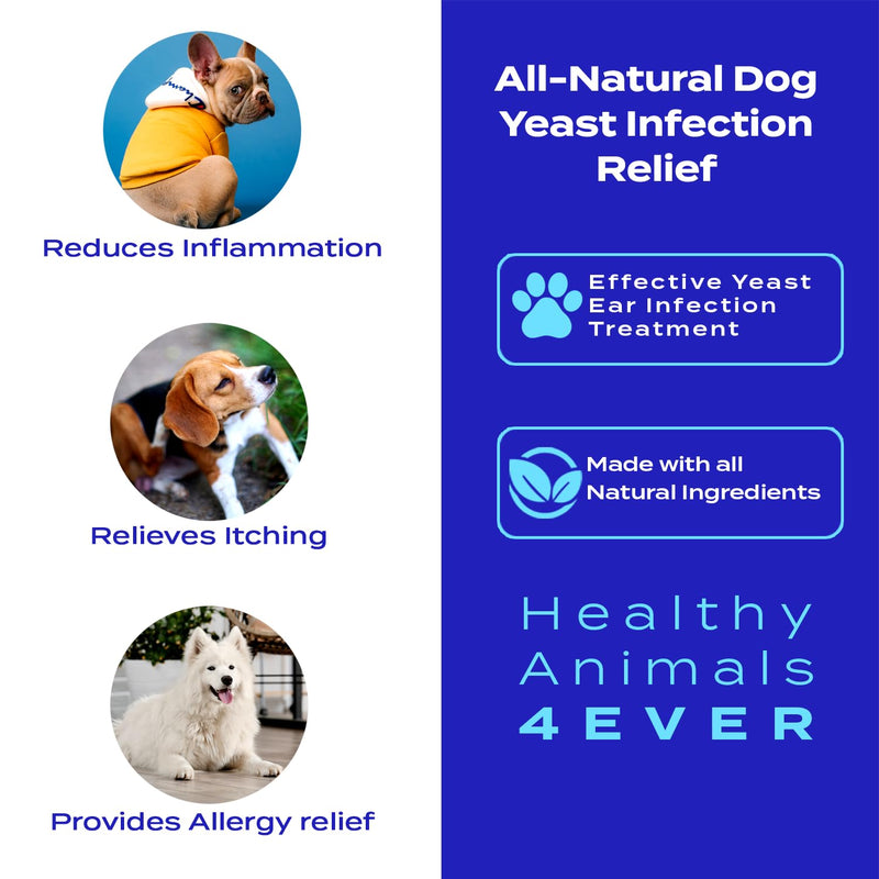 HealthyAnimals4Ever All-Natural Yeast Protection for Dogs - Effective Homeopathic Support for Yeast Infections - Preventive Care for Skin and Ear Health - 300 Dog Yeast Defense Tablets - PawsPlanet Australia