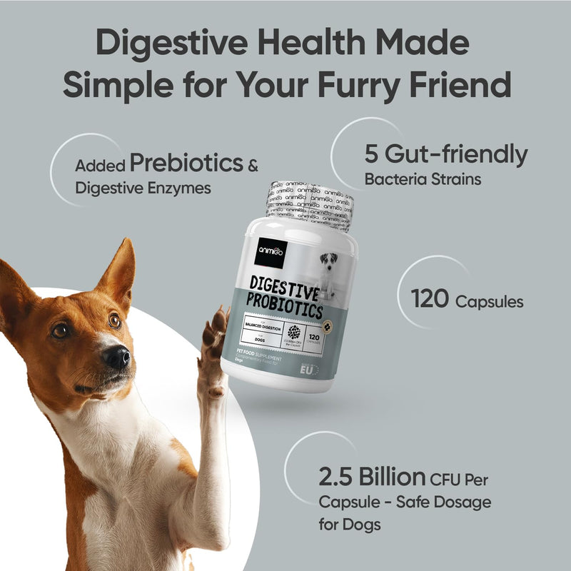 Probiotics for Dogs - Added Prebiotics & Digestive Enzymes - Dog Probiotics for Gut Health, Allergies & Immunity Breeds - Dog Digestive Supplements - 120 'Split & Pour' Capsules