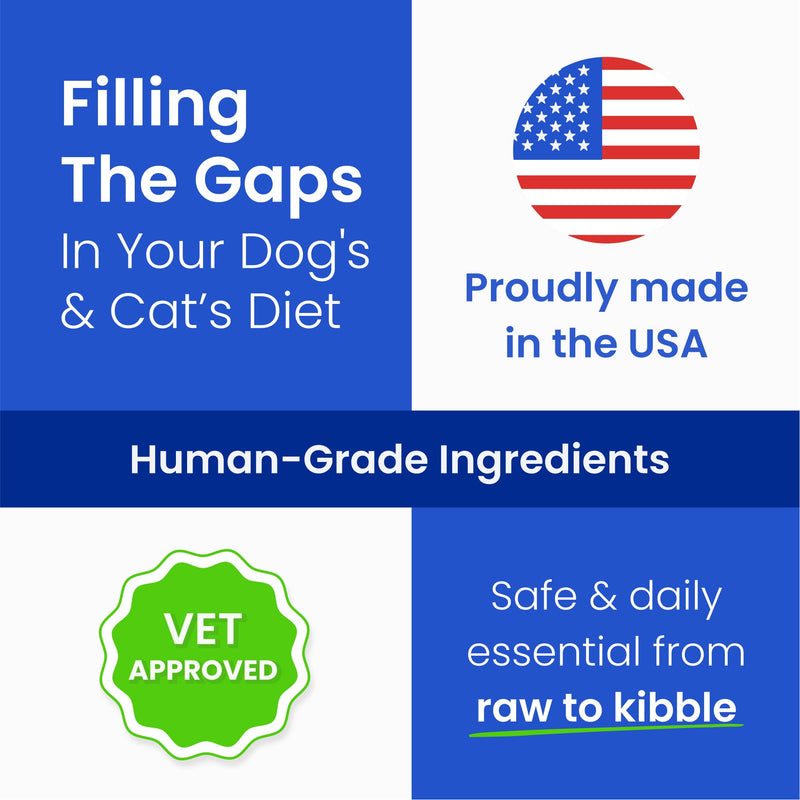 BARK&SPARK Omega 3 Fish Oil for Dogs - w/Wild Alaskan Salmon Oil for Dogs, Fish Oil Liquid Supplement for Pets, EPA+DHA Fatty Acids, Skin&Coat Support - Itch&Allergy Relief, Joint, Immune&Heart Health 16 fl oz - BeesActive Australia