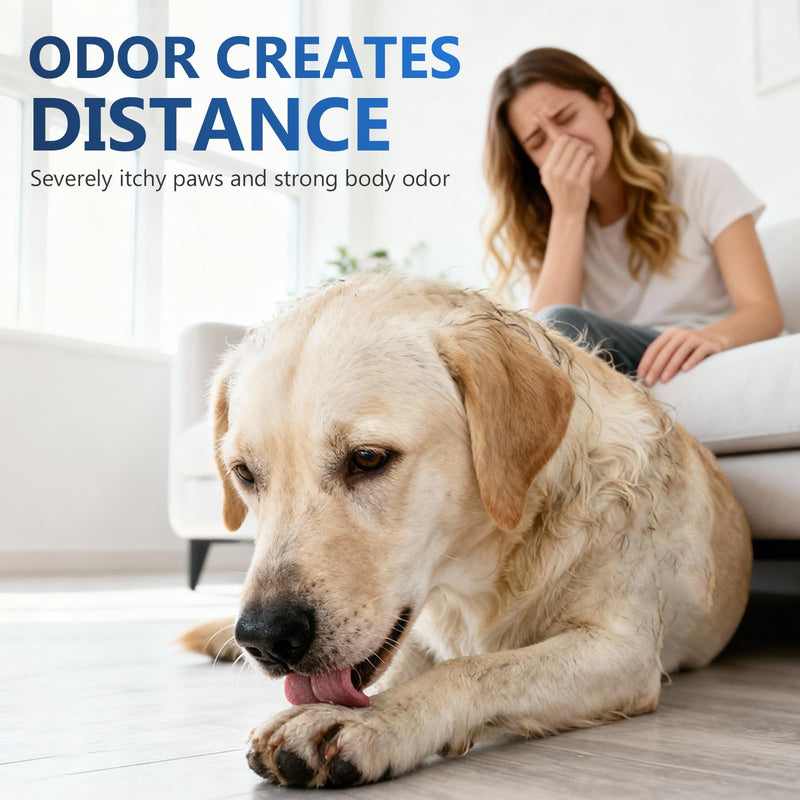 Yeast Infection Treatment for Dogs - Soothing Ear & Skin Relief for Itch & Inflammation, Natural Dog Allergy Support