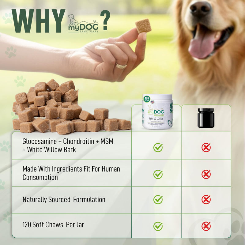 Hip & Joint Supplement for Dogs – 120 Soft Chews, Bacon Flavor | Glucosamine, Chondroitin & MSM for Mobility, Flexibility & Cartilage Support | for All Breeds