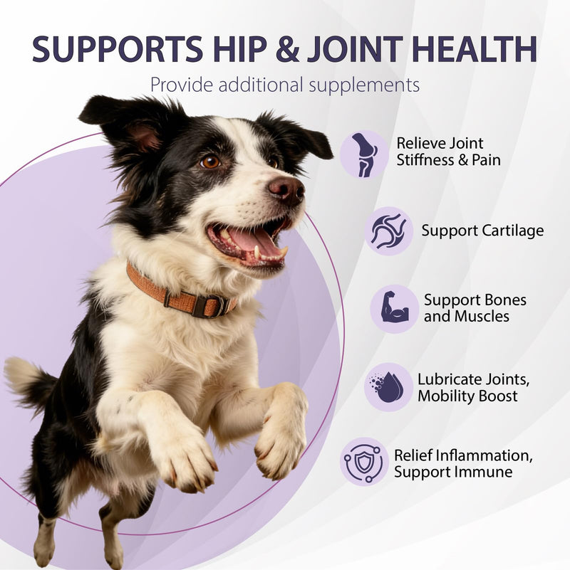 Joint Care Chews for Dogs-Hip and Joint Supplement for Dogs to Actively Support Mobility-High Levels of Glucosamine, Green Lipped Mussels, Omega 3 and Turmeric-150 Soft Chews