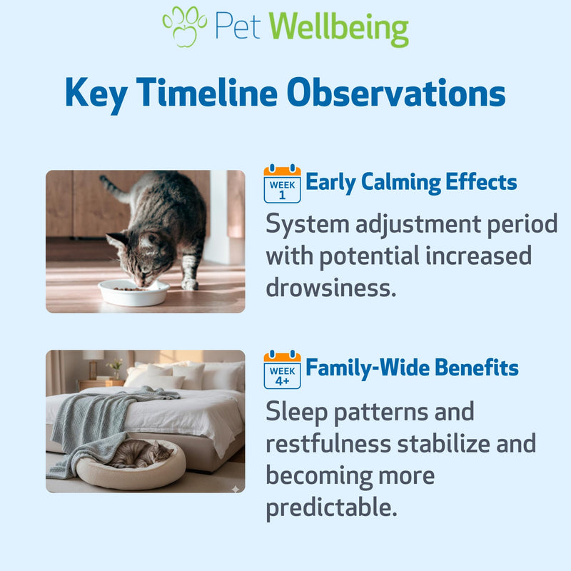 Pet Wellbeing Pet Melatonin for Cats - Vet-Formulated Holistic Feline Sleep Support - Healthy Sleep Patterns, Circadian Rhythm Balance - Cat-Safe Liquid Melatonin Supplement 2 oz (59ml)