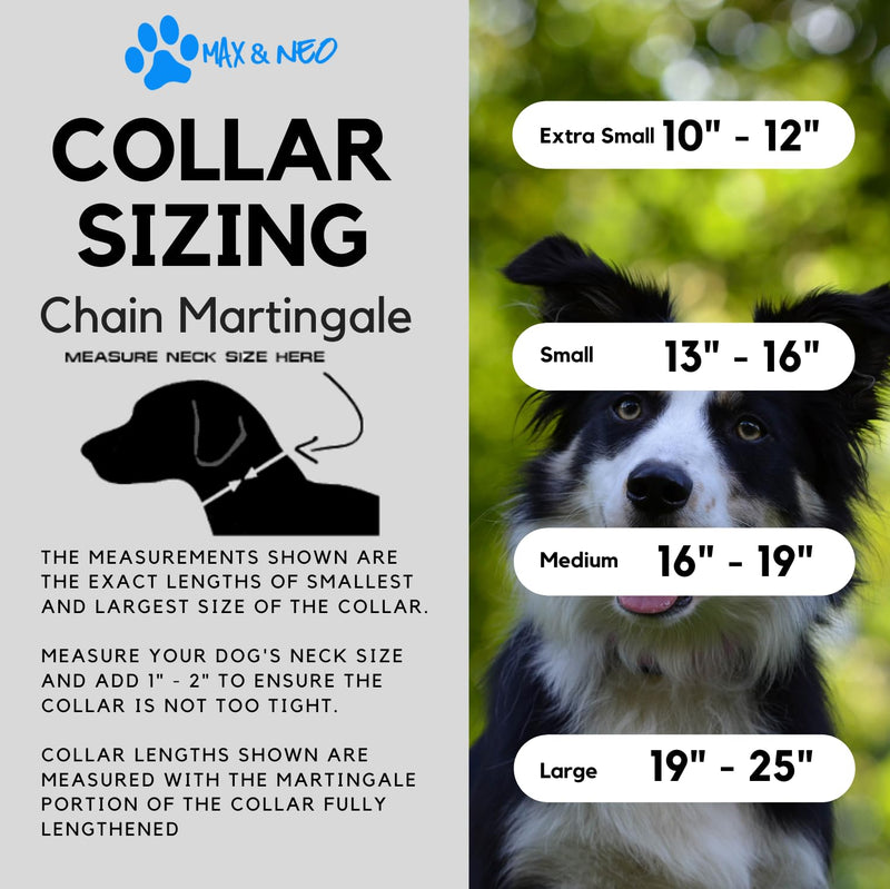 Max and Neo Stainless Steel Chain Martingale Collar - We Donate a Collar to a Dog Rescue for Every Collar Sold (Large, Pink) Large - BeesActive Australia