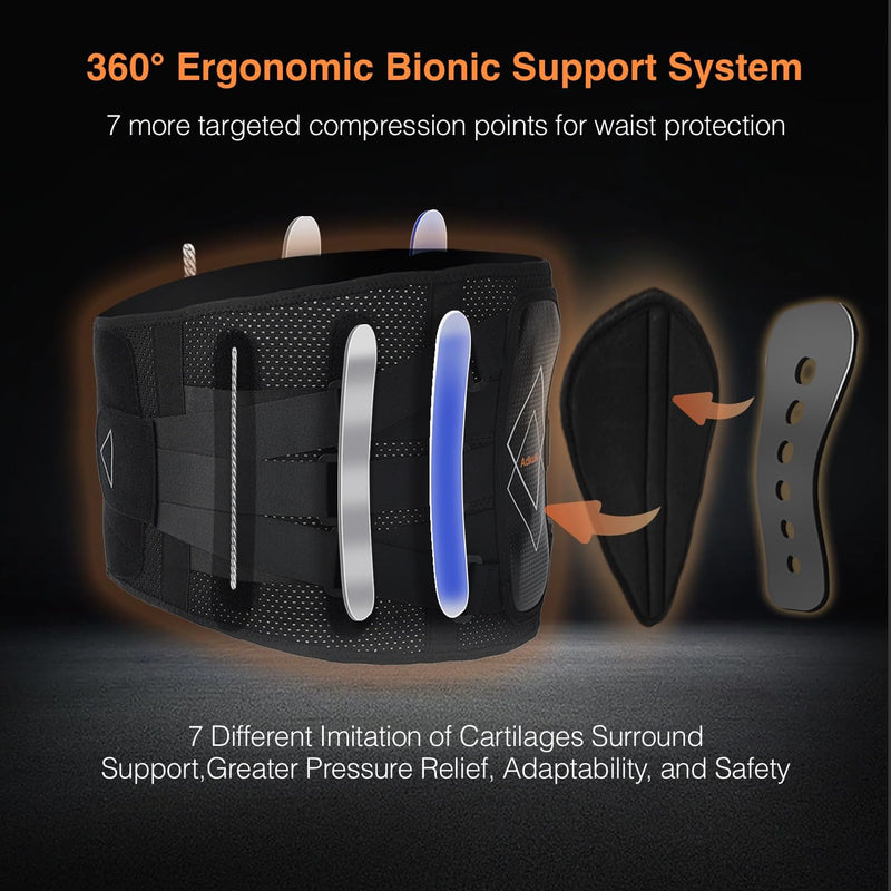 Back Brace for Lower Back Pain Women Men - 10x Maximum Compression and Adjustable - Lumbar Support Belt with 3D Pad - Ergonomic and Breathable 3D Material - for Herniated Disc,Sciatica (L) L - BeesActive Australia