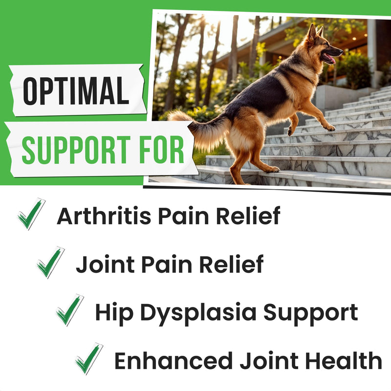 Glucosamine Chondroitin for Dogs - Joint Supplement w/Omega-3 Fish Oil - MSM - Advanced Mobility Chews - Joint Pain Relief - Hip & Joint Care - 120Ct - Made in USA 120 Treats
