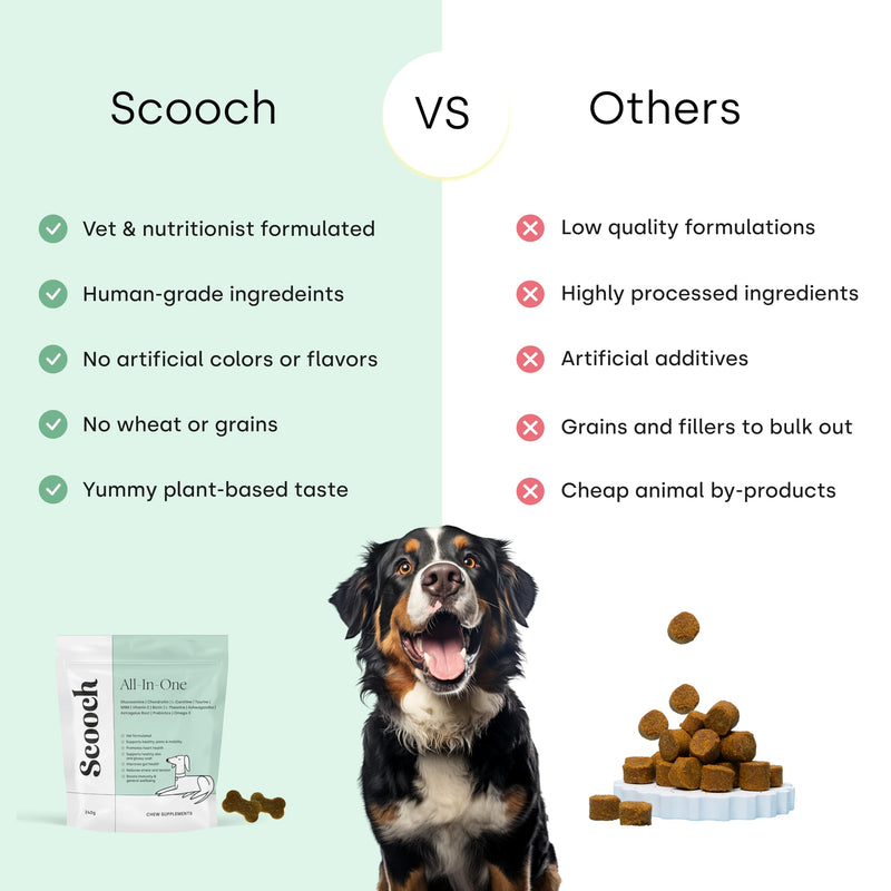 Scooch All-In-One Dog Multivitamin, 60 Tasty Crunchy Chews Even Fussy Dogs Eat | Daily Supplement Supporting Skin, Coat & Joints | Plant-Based Peanut Butter & Coconut | For Dogs from 12 Weeks Adult