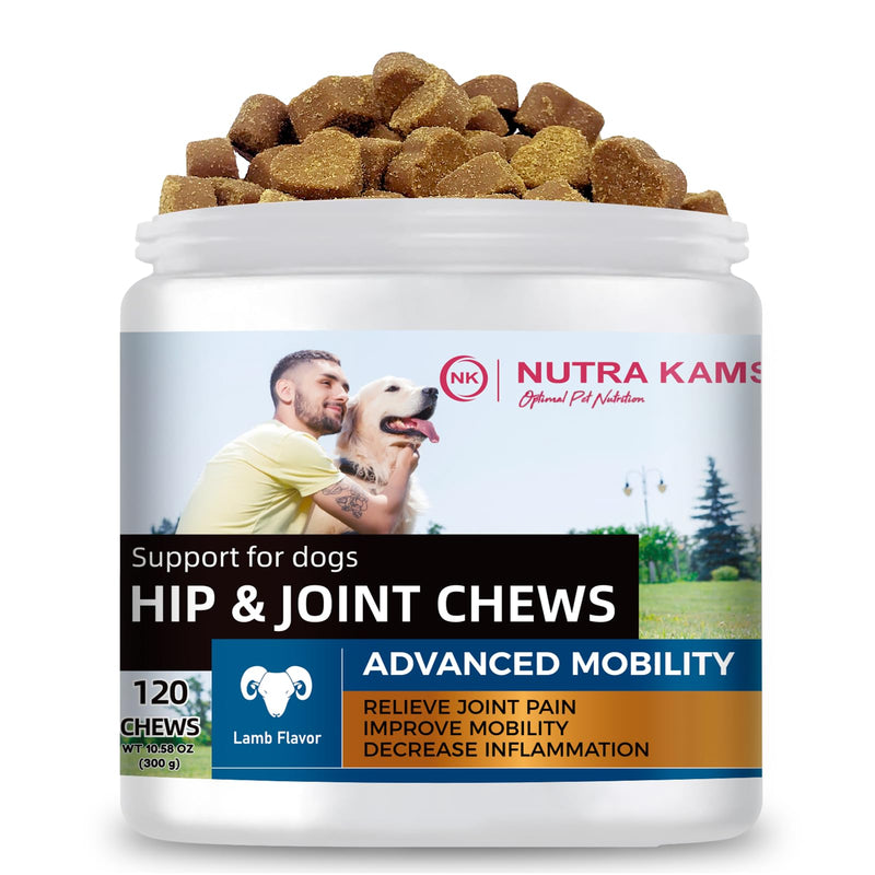 Hip & Joint Chews for Dogs, Advanced Mobility Support with Glucosamine & MSM, Natural Lamb Flavor, 120 Soft Chews