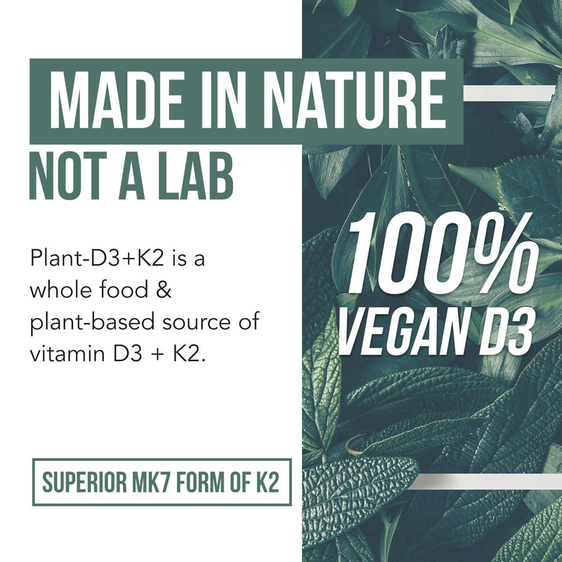 Organic Plant D3 + K2 | 5000 iu D3 + 120 mcg K2 as All-Trans MK7 from MenaQ7® - 100% Whole Food, Raw & Vegan | Enhanced Digestion with Prebiotic & Superfood Complex – D3 from Organic Algae (60 Count) 60 Count (Pack of 1) - BeesActive Australia