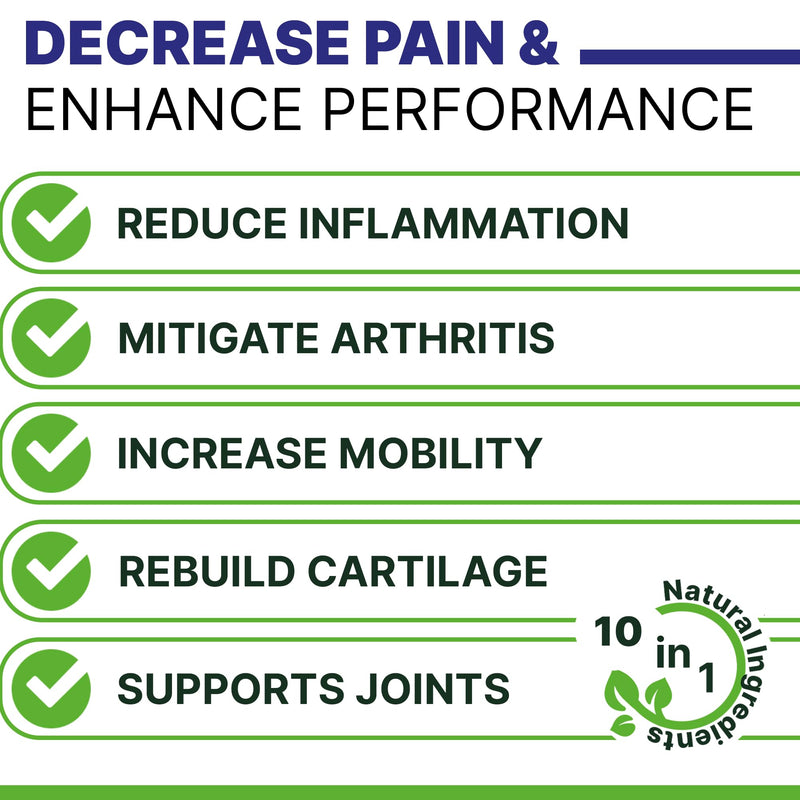 ADVANCED Hemp Hip & Joint Supplement for Dogs - Glucosamine for Dogs - Dog Joint Pain Relief Treats - Chondroitin Turmeric MSM Hemp Oil - Hemp Treats for Joint Health - Senior Mobility Support Chew 240 Count