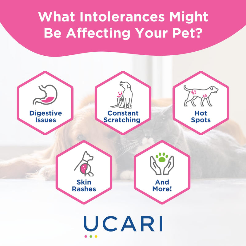 UCARI Pet Sensitivity Test | Screens for 350+ Intolerances | Food & Ingredients Analysis | Painless Home Test Hair Sample Method | Results in 48 Hours | Cats & Dogs Introductory