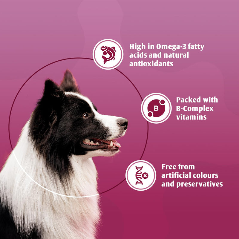 Brewer's Yeast Dog Nutritional Supplement - Skin and Coat Care - 260 tablets - rich in B-complex vitamins, with minerals and omega-3