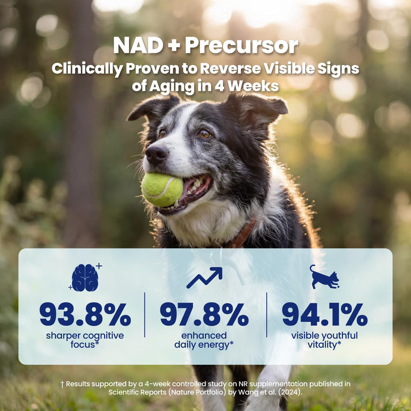 NAD+ Precursor & Senior Dog Supplement - 90 Soft Chews - NMN Alternative for Longevity & Healthy Aging - Nicotinamide Riboside, Resveratrol, Quercetin, Made with Pasture-Raised Chicken Peanut Butter & Chicken
