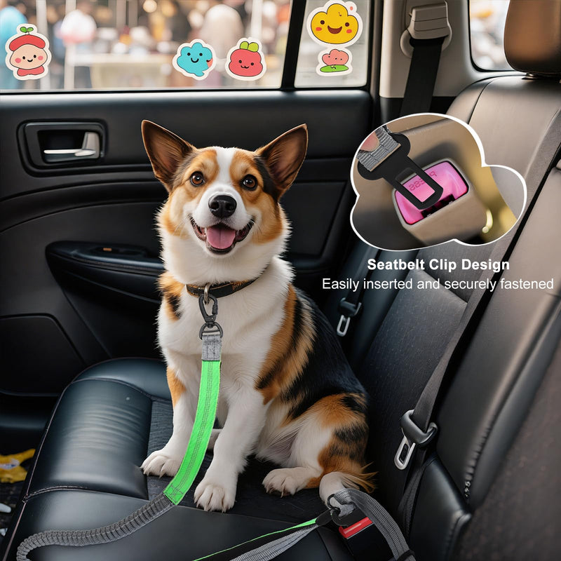 Hands Free Dog Leash, 8.2 FT Waist Leash for Walking, Jogging, Hiking, Adjustable Crossbody Belt with Double Padded Handles, Bungee Car Seatbelt Design for Medium Large Dogs, Gray + Green