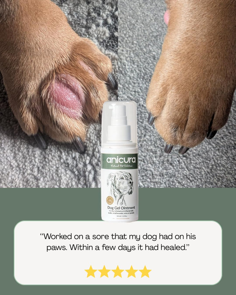 Anicura Dog Skin Ointment – soothes dry, itchy skin, hot spots, eczema & allergies. Reduces scratching & licking. Gentle for sensitive dogs. Value bundle (2 x 100ml Pack)