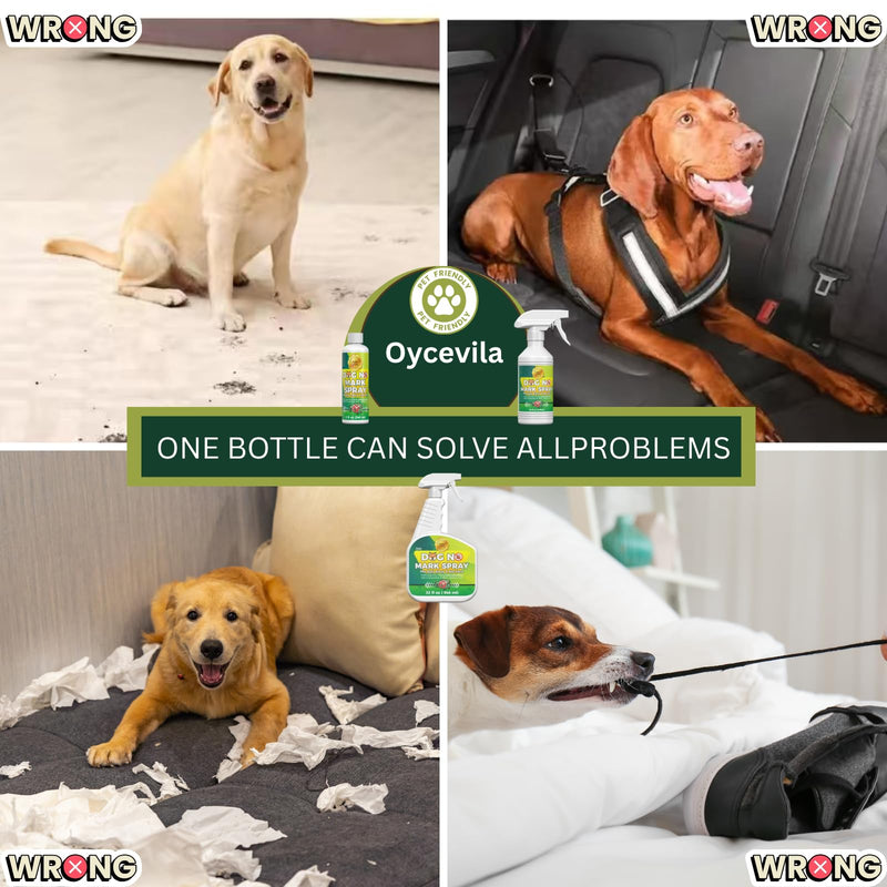 8oz Prevents Damage to Furniture & Garden Plants, Eco-Friendly Dog Pet Potty Training Spray, No Pee Here Formula, Housebreaking Training Aid for Puppies