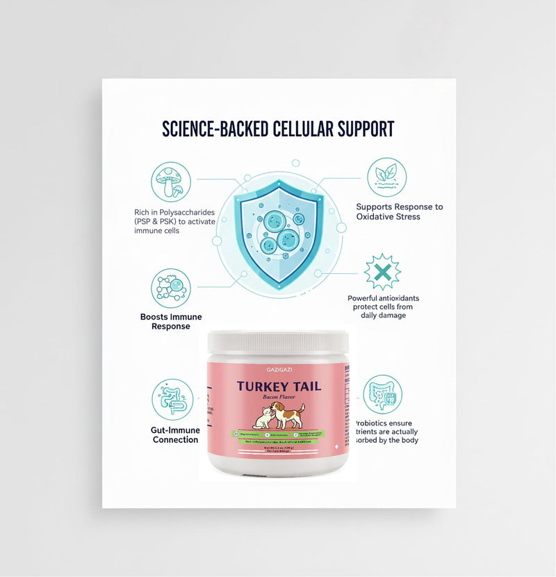 Organic Turkey Tail Mushroom for Dogs & Cats – 833mg – 10 Mushroom Blend – Immune Support & Skin Defense – Lipoma Support for Dogs – Buddy Guard for Dogs Lumps and Bumps – 120 Scoops