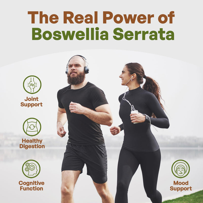 Go Nutra Boswellia Serrata Extract Powder 10:1 Strength 65% Boswellic Acid Frankincense Supplement Joint Support - 8 oz. - BeesActive Australia