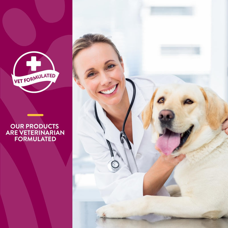 NaturVet – Glucosamine DS Plus - Level 2 Moderate Care – Supports Healthy Hip & Joint Function – Enhanced with Glucosamine, MSM & Chondroitin – for Dogs & Cats – 240 Soft Chews Glucosamine-DS Level 2 - BeesActive Australia
