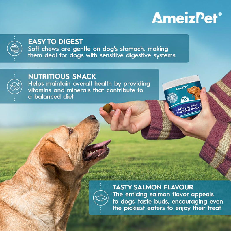 AmeizPet Anal Gland Soft Chews Treatment For Dogs, Functional Digestive Fiber Treats For Dogs Glands Healthy Dog Chews, 120 Soft Dog Treats 120 Treats