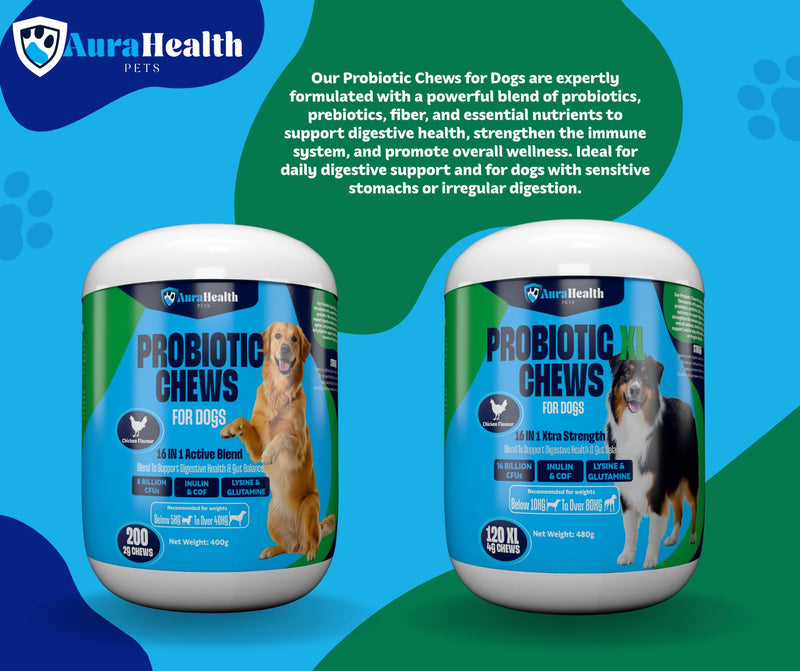 Probiotic 200 Chews up to 4-month supply for Small to Madium Dogs 16-in-1 Support Gut Health, Diarrhea & Allergies – 8 Billion CFUs, Prebiotics, Glutamine, Inulin, Omega-3, Chicken Flavour. 200 Chews - 2g
