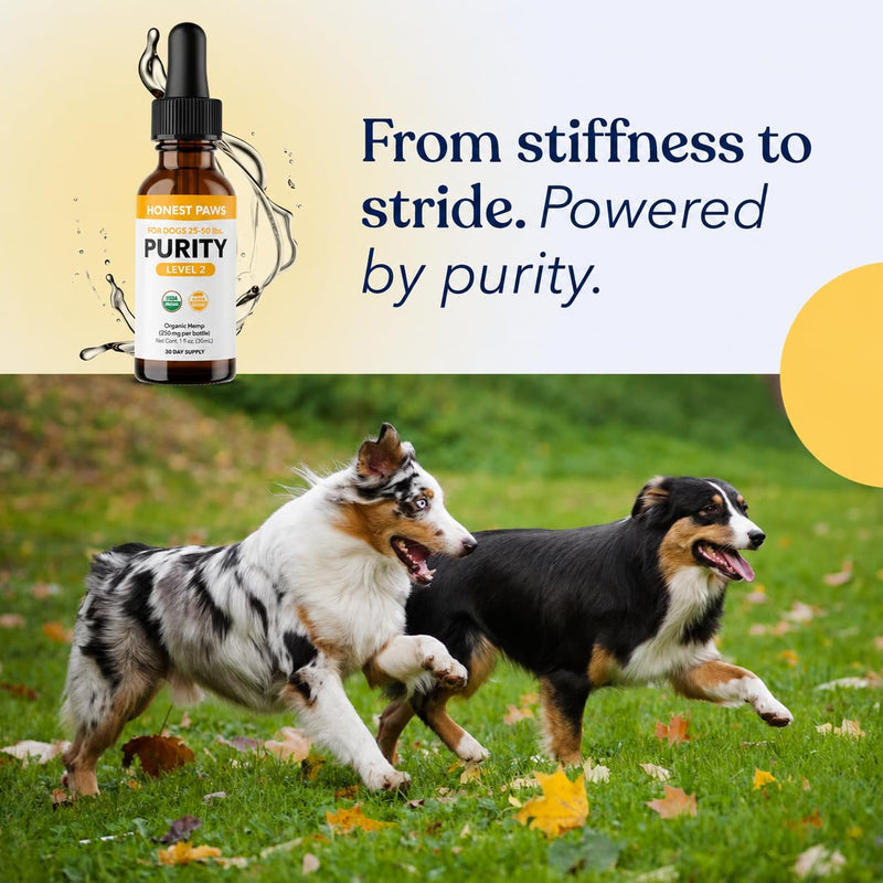 Honest Paws Hemp Oil for Dogs - Natural Hemp Seed Oil Drops Rich in Omega 3 6 9 - May Help Support Calm Behavior, Physical Comfort & Overall Wellness - Made in USA Level 2