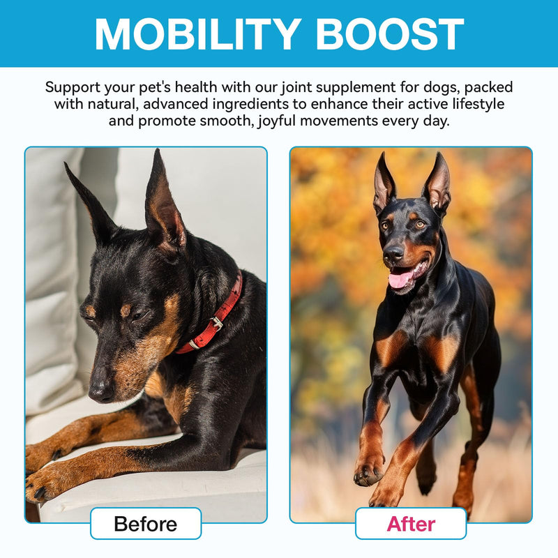 Joint Supplements For Dogs, 60ml Natural Dog Joint Supplements With Glucosamine And Chondroitin, Dogs Arthritis Pain Relief, Natural Ingredients Fast Acting Formula Dog Care