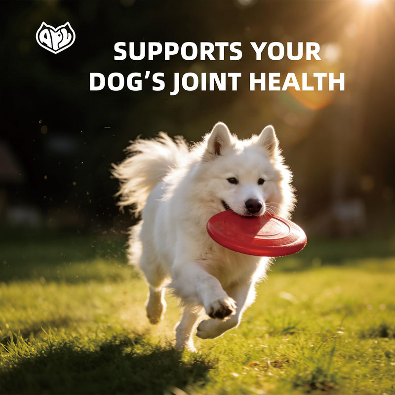 APL 8 in 1 Dog Multivitamins, Multivitamin Supplement with Probiotics DHA and EPA for Dogs, Supports Immunity Digestion Energy Skin and Coat Health, Beef Flavor Soft Chews, 300 Count