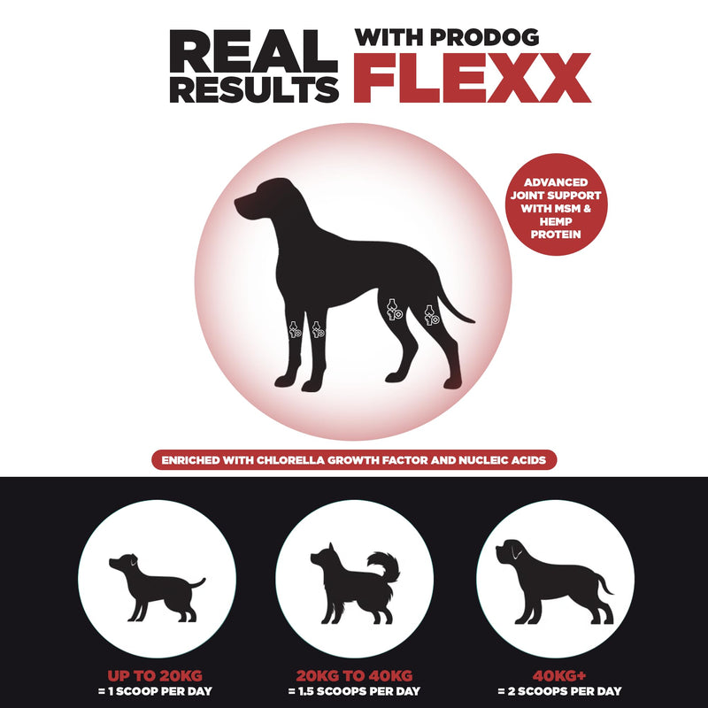 ProDog Flexx Joint & Mobility Powder for Dogs - 11 Active Ingredients | Glucosamine MSM Green Lipped Mussel | Senior, Adult & Working Breeds | 120g, 30 Servings Small - 120g