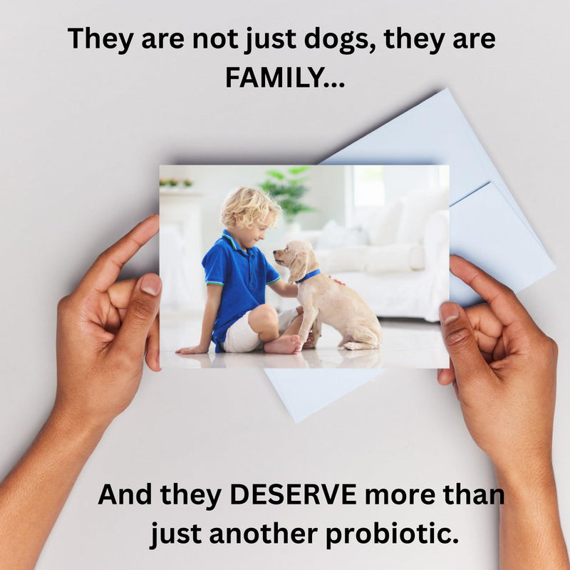 Dog Probiotic Powder – Gut Health Probiotics for Dogs with Digestive Enzymes, Prebiotics & Pumpkin – Supports Firm Stool, Diarrhea Relief, Immune Boost – Natural Dog Gut Health Powder
