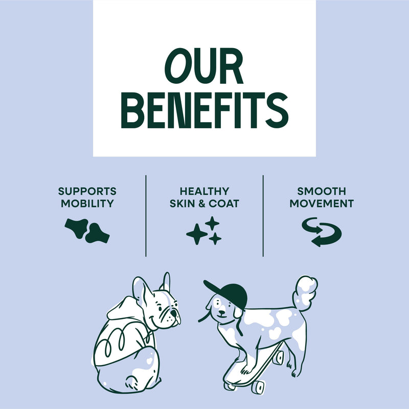 Joint Care Salmon Oil for Dogs 300ml, Scottish Salmon Oil with Glucosamine, Chondroitin, MSM & Turmeric, Omega 3 6 9 Supplement for Mobility, Skin & Coat Health, Hip & Joint Support for All Dog Sizes
