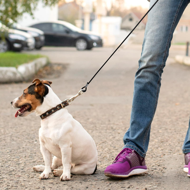 Chew-Proof Dog Seat Belt for Car, Dog Leash Tether Extender Dog Vehicle Safety Cable, Double Clip No-Chew Pet Car Leash 16 Inch Coated Wire Dog Leash Safety Restraint, 360°Rotation (Black) - BeesActive Australia