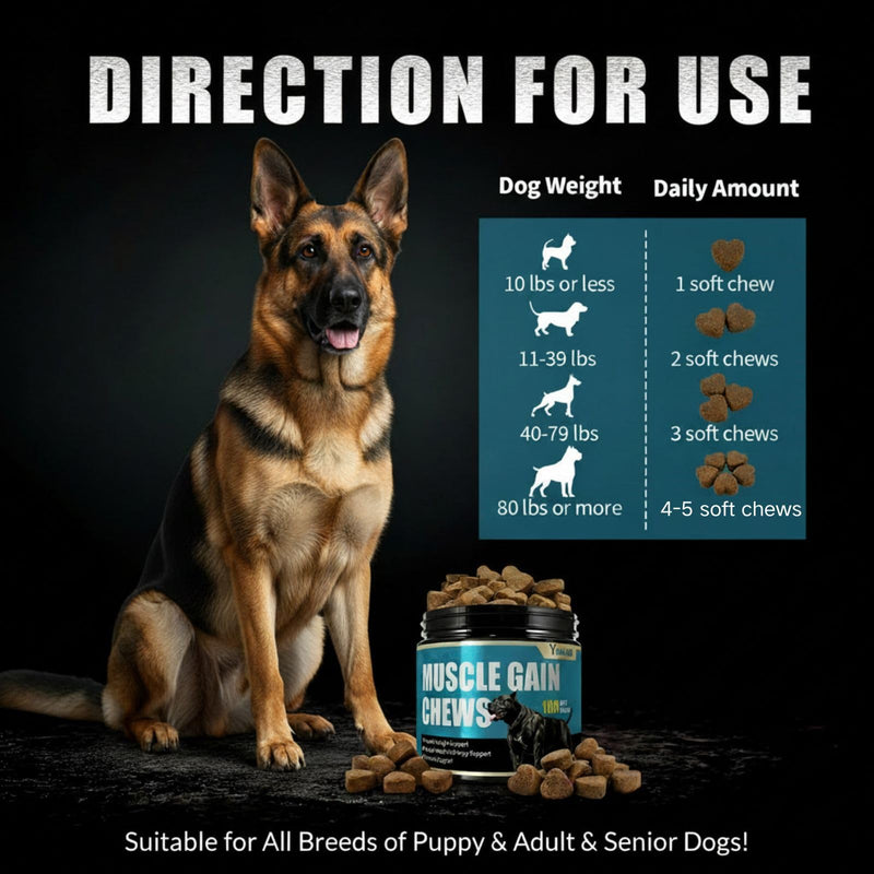 Muscle Gain Chews Dog Weight Gainer Supplements with High Protein & Canine Amino Acids Puppy Vitamins Canine Muscle Builder Formula for Bully & All Breeds Puppies & Adult & Senior Dogs-100