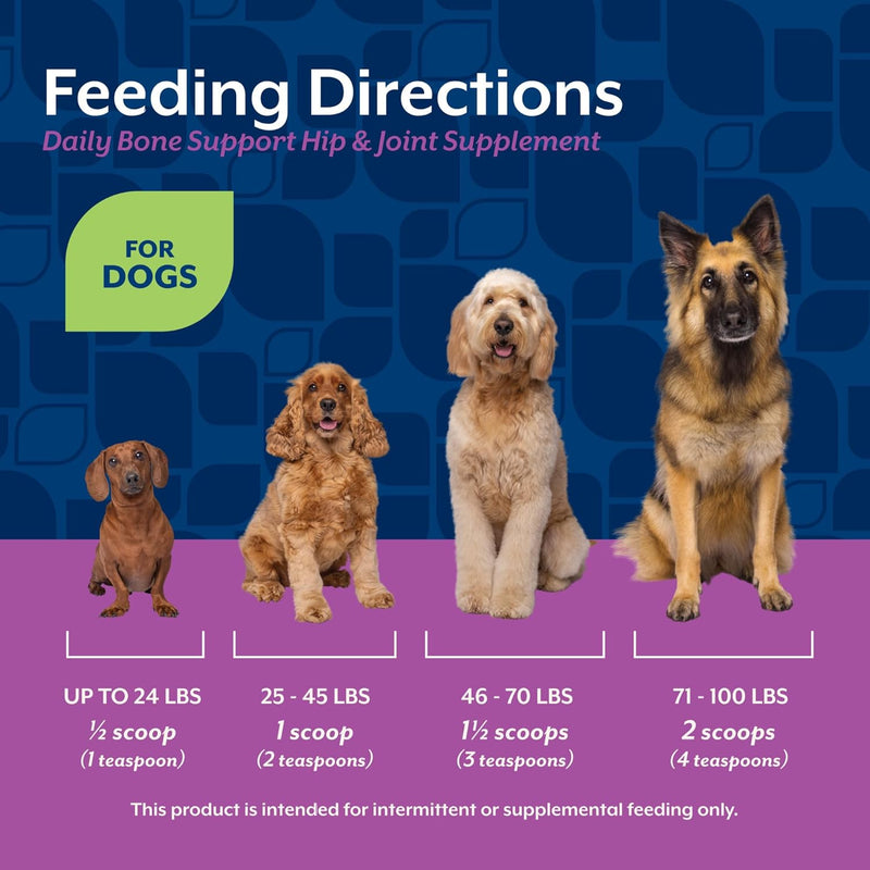 NaturVet Calcium-Phosphorus For Dogs, Supports Strong & Healthy Bones, Enhanced with Essential Minerals & Vitamin D, No Color, 16 Oz - BeesActive Australia