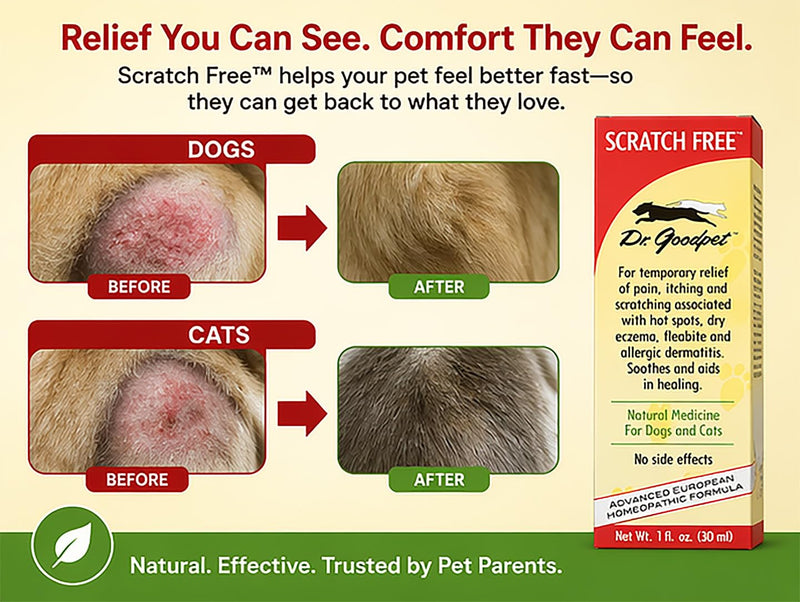Dr. Goodpet Scratch Free for Dogs & Cats – Natural Itch Relief Drops for Hot Spots, Allergies, Flea Bites & Dry Skin – Helps Stop Scratching & Skin Irritation – 1 oz Liquid