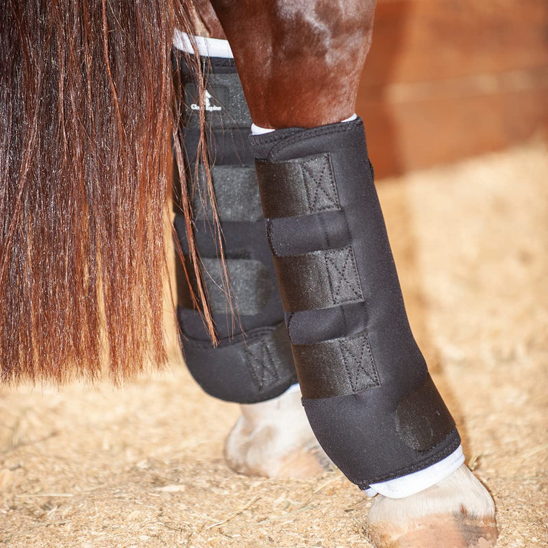 Classic Equine Quick Wraps Black Medium - BeesActive Australia
